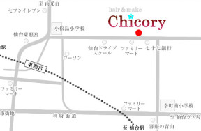 hairmake chicoryւ̒n}