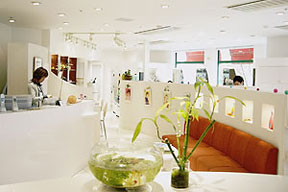清潔感漂う店内