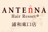 ANTEnNA HairResort YaXS