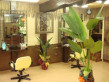 EXTENSION VARY�@����X