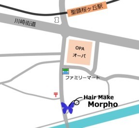 Hair Make@Morphoւ̒n}