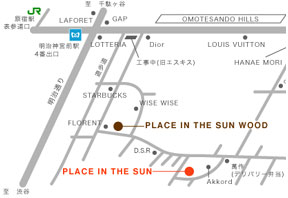 PLACE IN THE SUN ւ̒n}