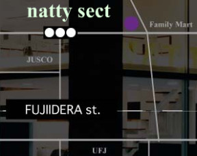 natty sectւ̒n}