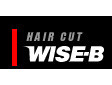 WISE-BS