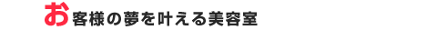 ���q�l�̖�����������e��