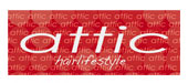 attic���S