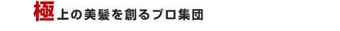 �ɏ�̔�����n��v���W�c