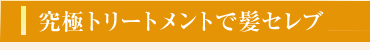 究極のトリートメントで髪セレブに