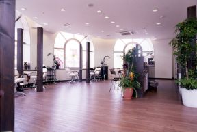 �I���G���^���ȋ��