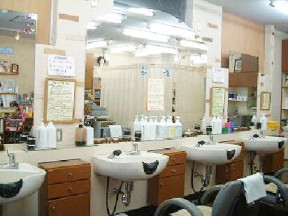 �G�X�e�Ȃǂ̃��j���[��������葵���Ă���܂�