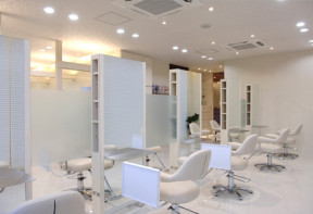 �J���[���X�g���풓