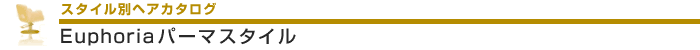 Euphoria�X�^�C���ʃp�[�}